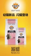 奧丁精品幼貓糧閃耀登場?。。?></div>
                <div>
                    <h2>奧丁精品幼貓糧閃耀登場?。?！</h2>
                    <div><span>2019-06-27

</span><span>查看更多</span></div>
                </div>
            </a><li>
             <a href=
